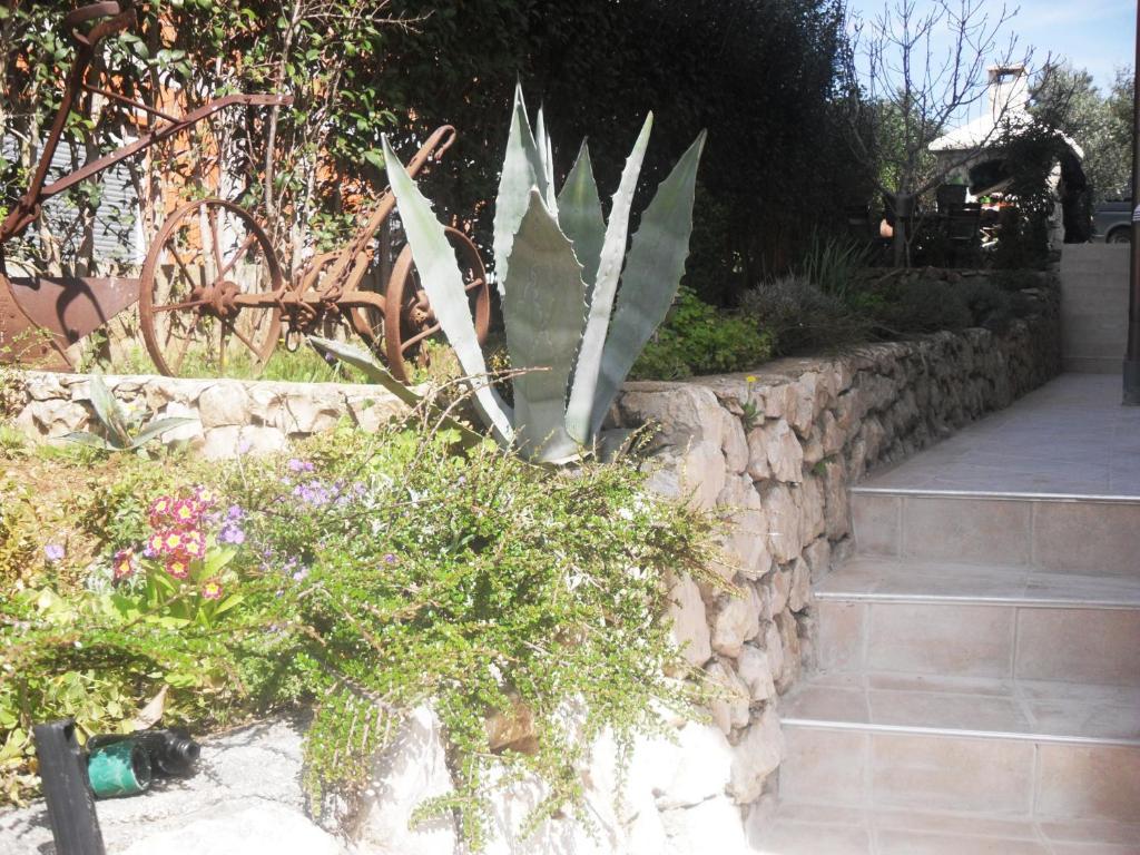 Villa Maslina Zadar Rom bilde